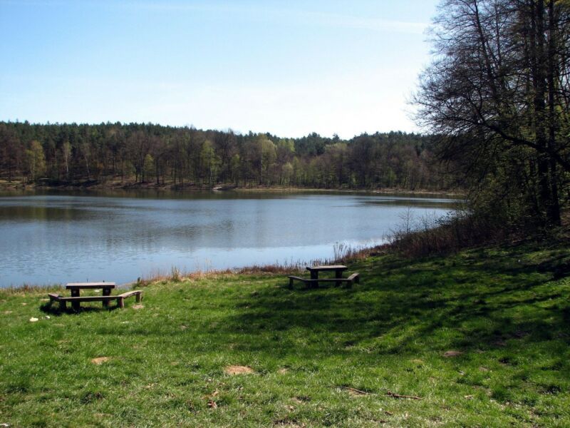 Działka rolna Żydowo. Zdjęcie 8