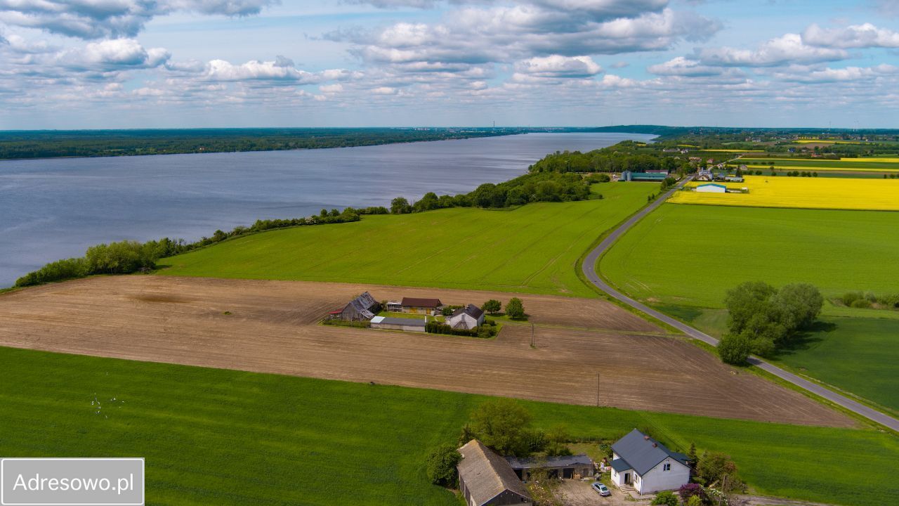 gospodarstwo, 3 pokoje Bachorzewo. Zdjęcie 13