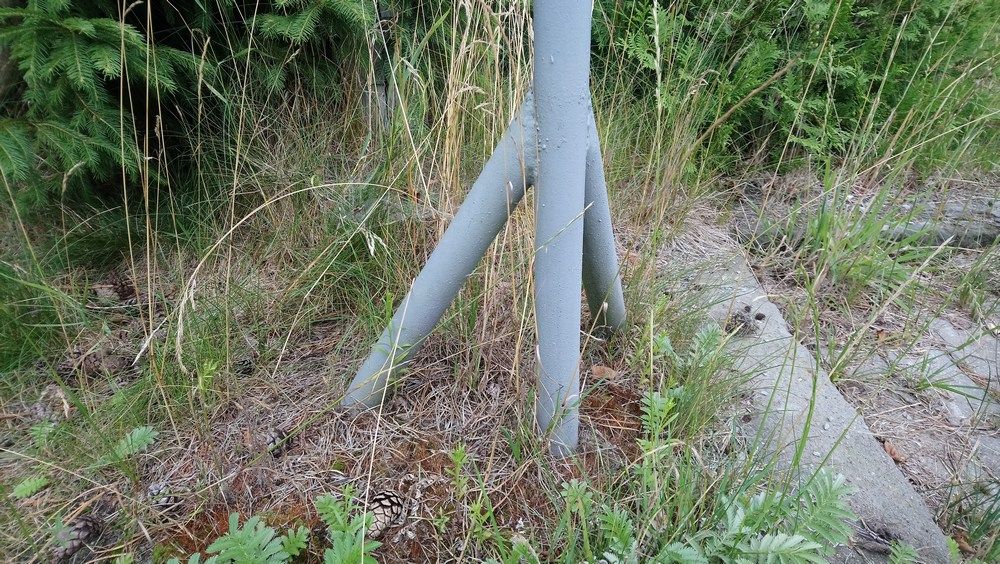 Działka rolno-budowlana Izbica Lisia Góra. Zdjęcie 3