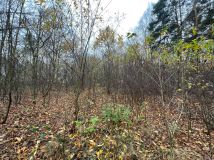 Działka rolna Słowik Zimna Woda. Zdjęcie 3