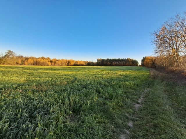 Działka rolna Suszeniec. Zdjęcie 1