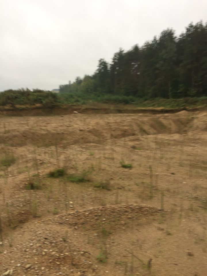 Działka leśna Kosaki-Turki. Zdjęcie 4