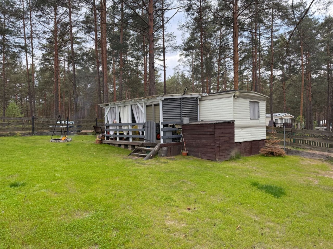 Działka leśna Borsk