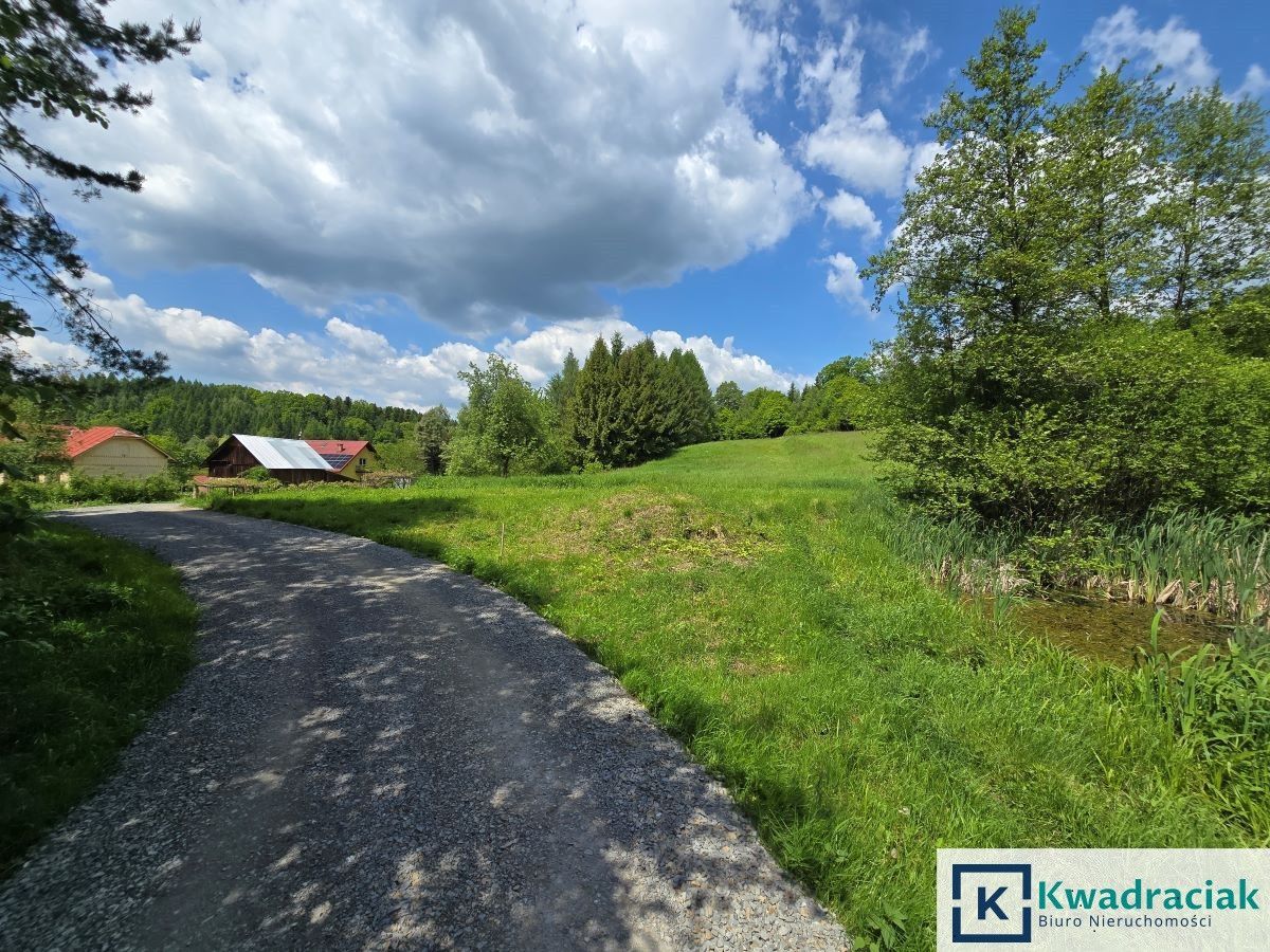 Działka inwestycyjna Turze Pole. Zdjęcie 3