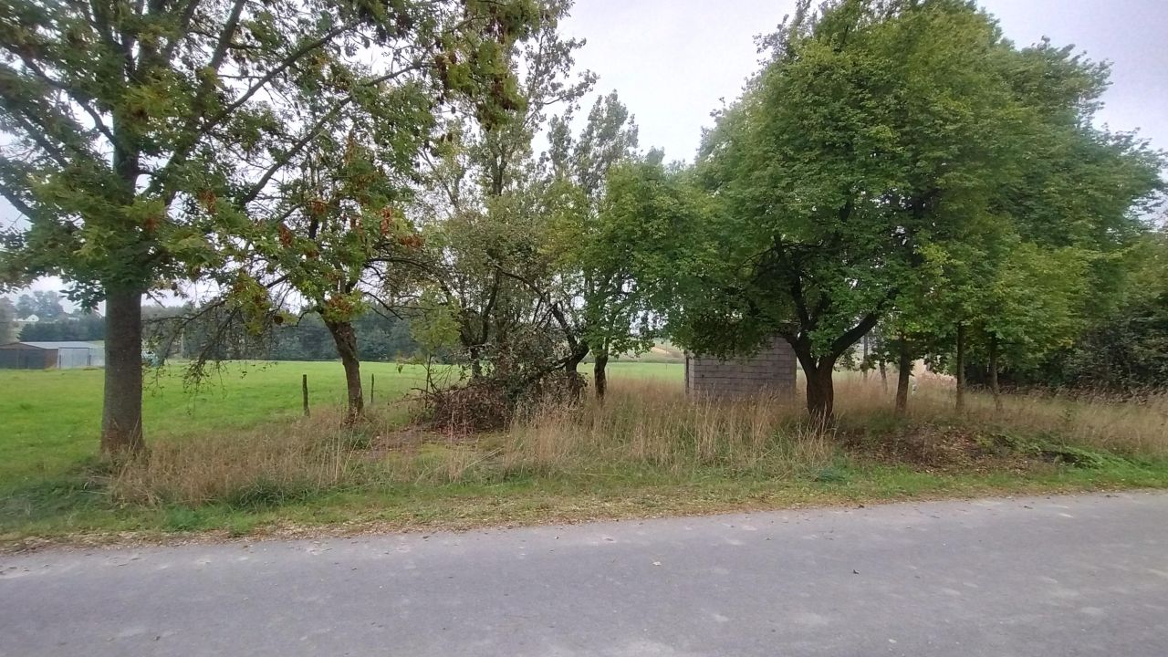 Działka rolno-budowlana Warzyn Pierwszy. Zdjęcie 3