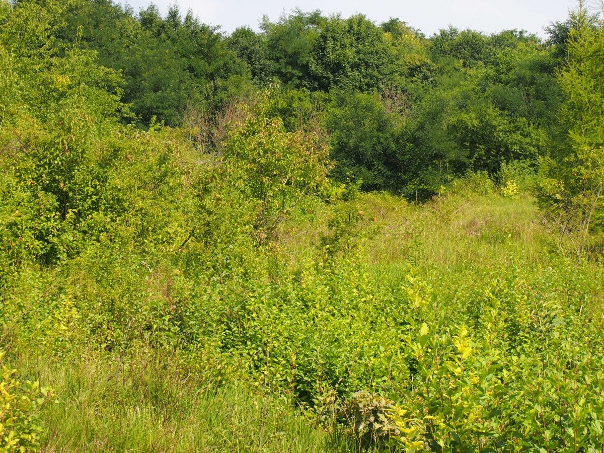 Działka rekreacyjna Śladów. Zdjęcie 19