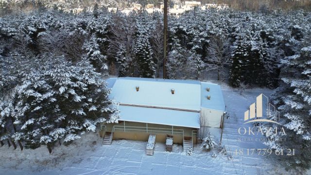 Działka inwestycyjna Wysoka Głogowska. Zdjęcie 14