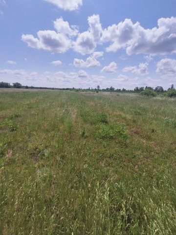 Działka rolna Żmijowiska. Zdjęcie 1