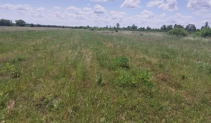 Działka rolna Żmijowiska