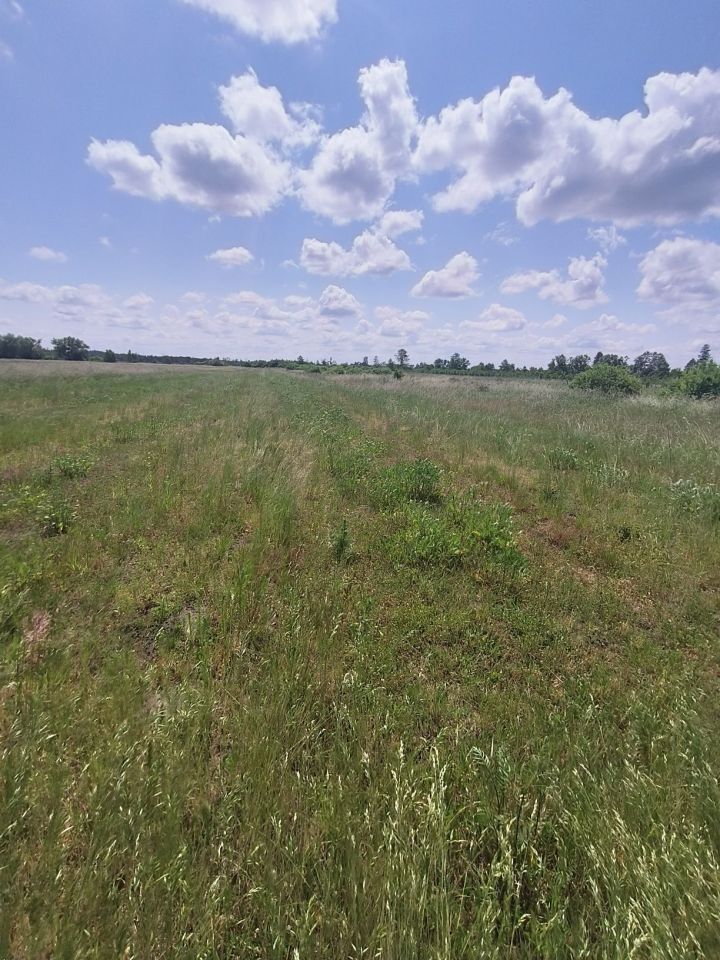 Działka rolna Żmijowiska. Zdjęcie 1