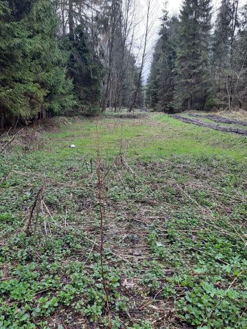 Działka rolna Białka Tatrzańska, ul. Pod Grapą. Zdjęcie 1