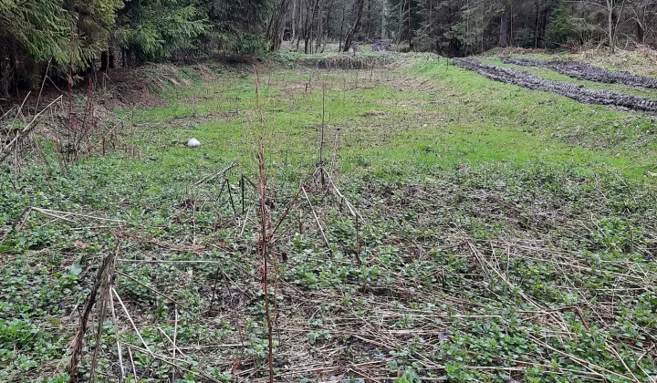 Działka rolna Białka Tatrzańska, ul. Pod Grapą