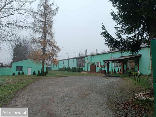 Działka inwestycyjna Stodoły-Kolonie. Zdjęcie 1