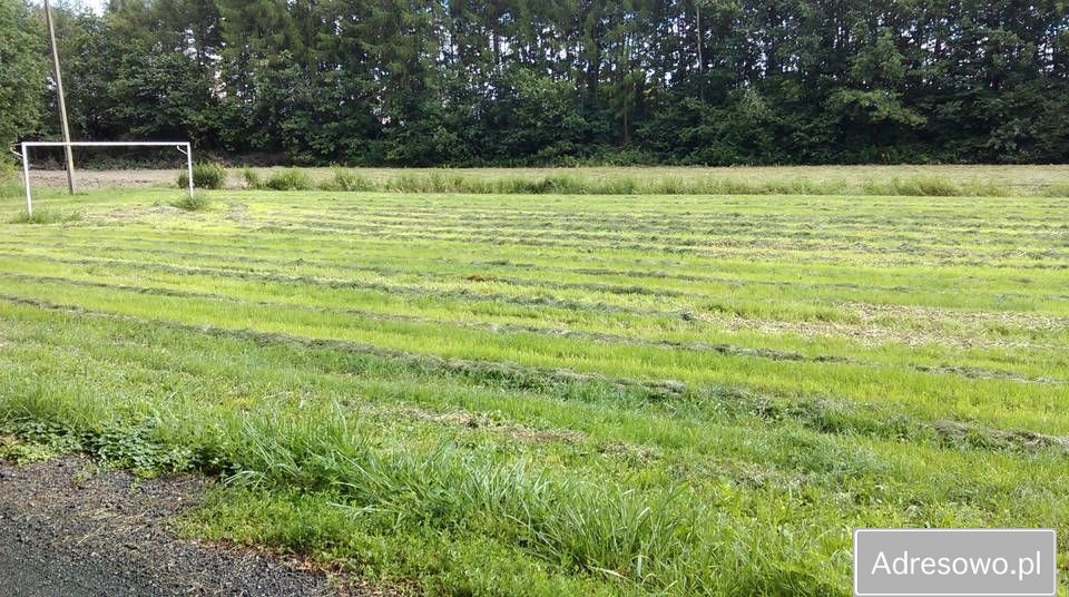 Działka rolna Kłomnice. Zdjęcie 3