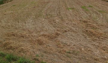 Działka budowlana Witów