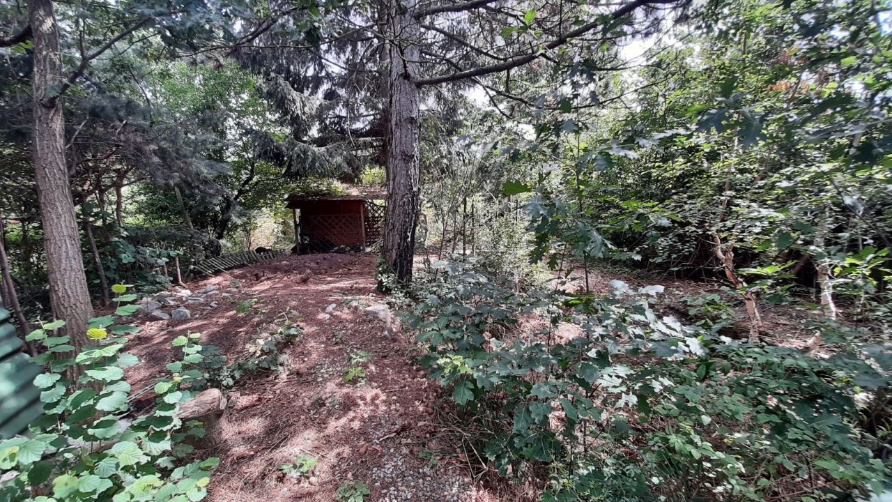 Działka rekreacyjna Grzybiany. Zdjęcie 6