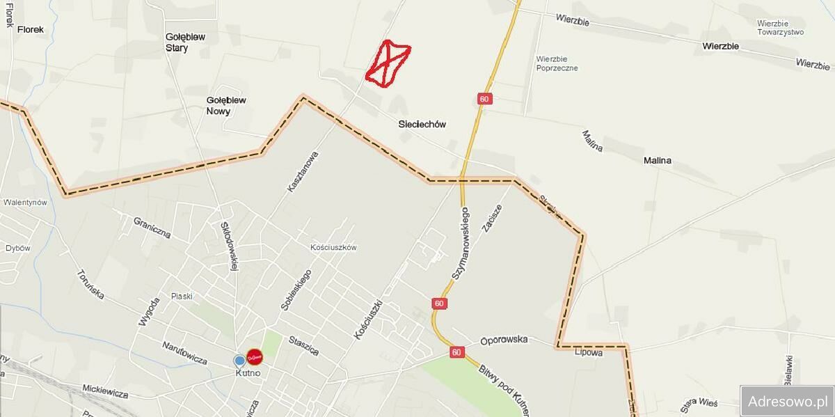 Działka siedliskowa Sieciechów. Zdjęcie 7