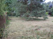 Działka budowlana Marylka, ul. Sosny. Zdjęcie 4