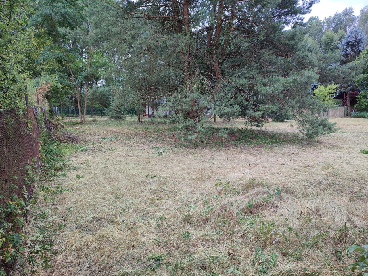 Działka budowlana Marylka, ul. Sosny. Zdjęcie 5