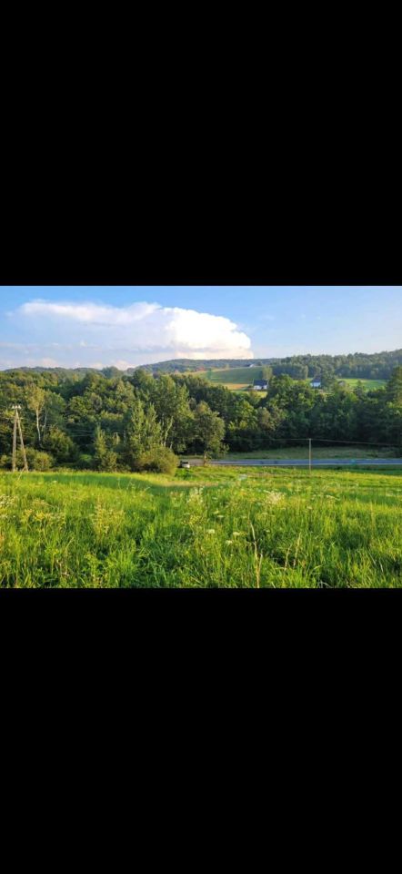 Działka rolno-budowlana Tymowa. Zdjęcie 3