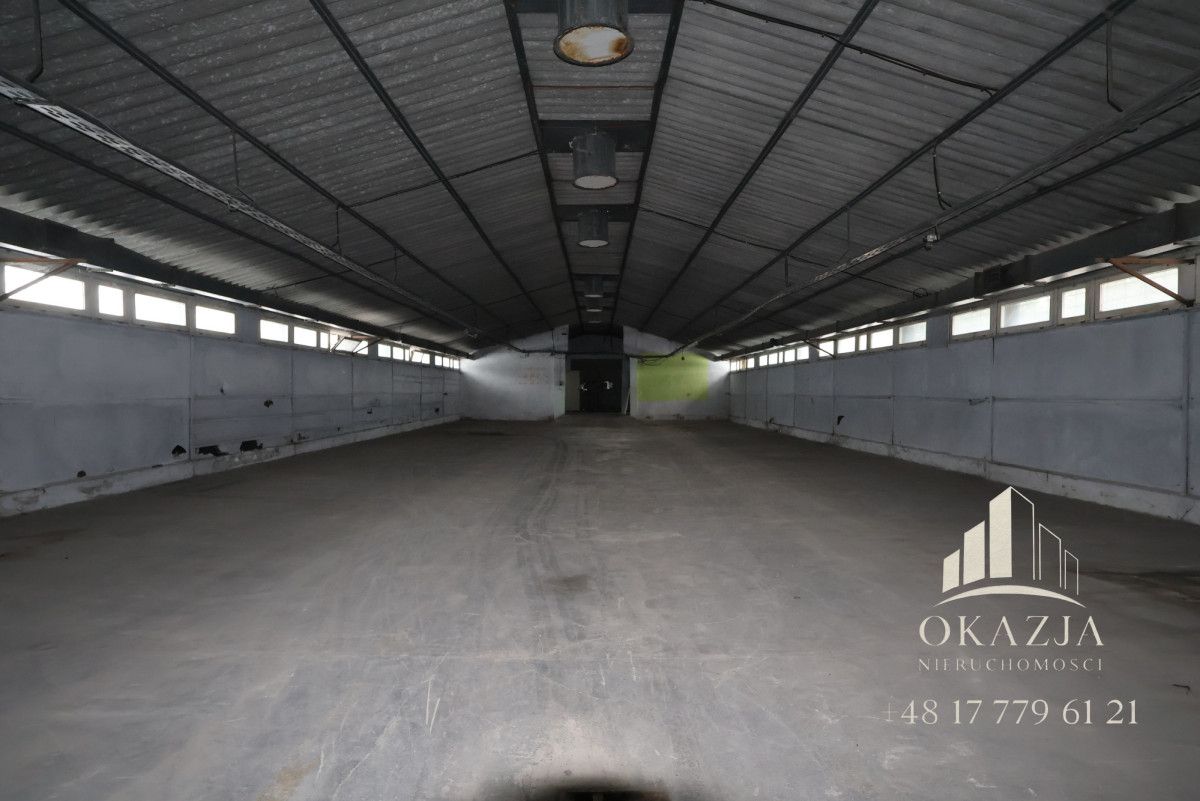 Lokal Wysoka Głogowska. Zdjęcie 7