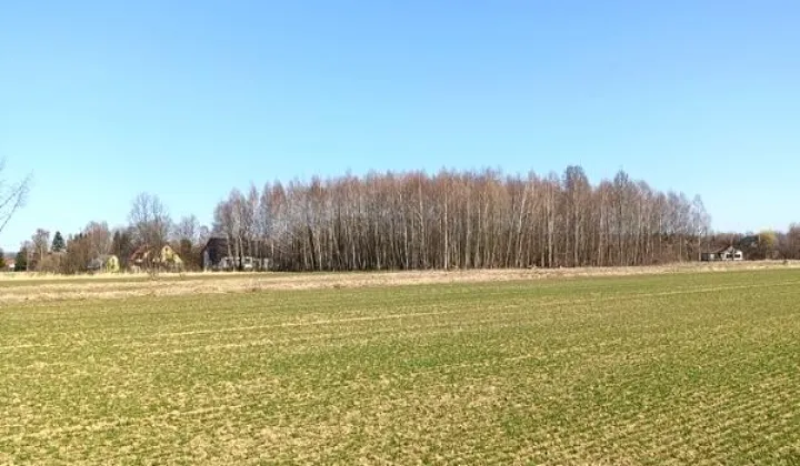 Działka budowlana Świerzowa Polska