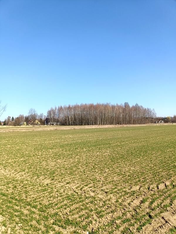 Działka budowlana Świerzowa Polska. Zdjęcie 1