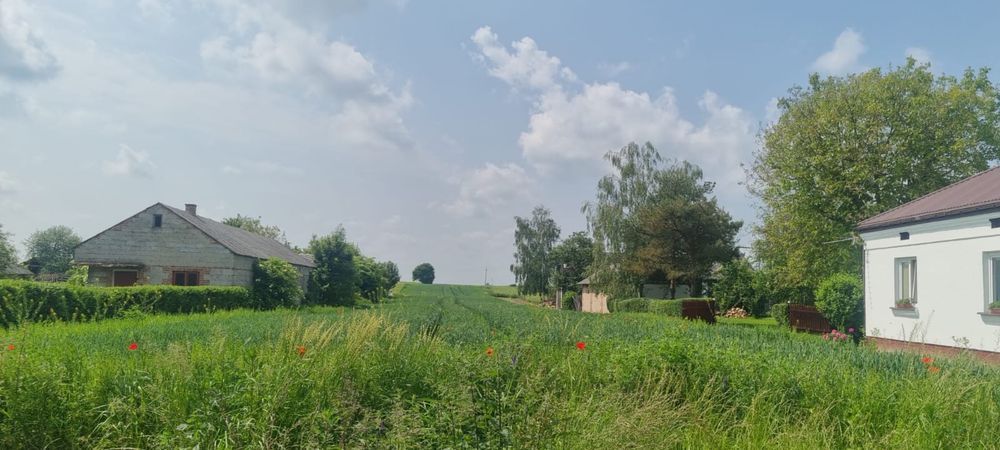 Działka budowlana Krzak. Zdjęcie 5