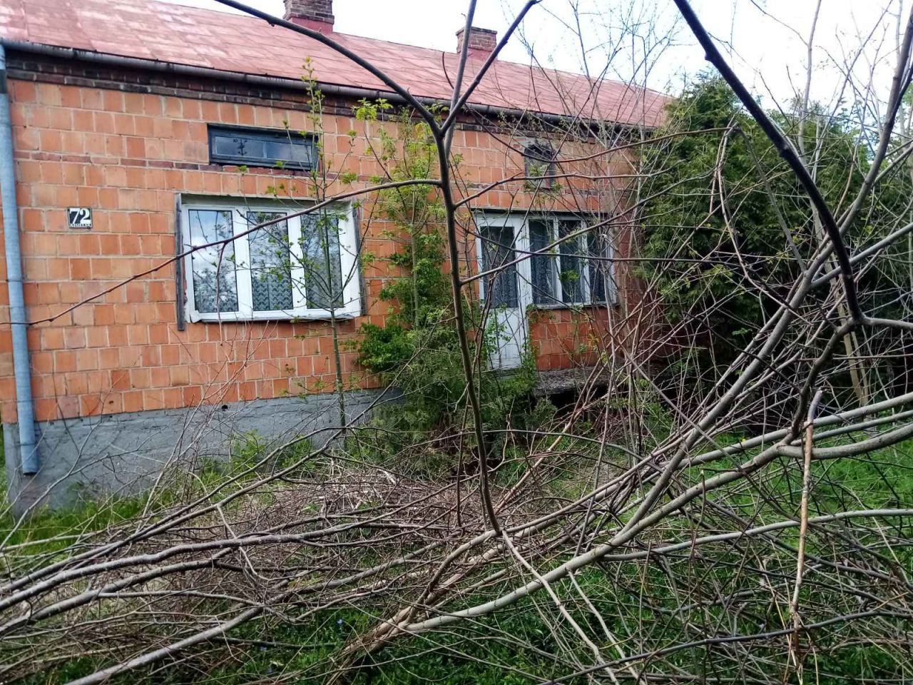Działka rolno-budowlana Kisielsk. Zdjęcie 1