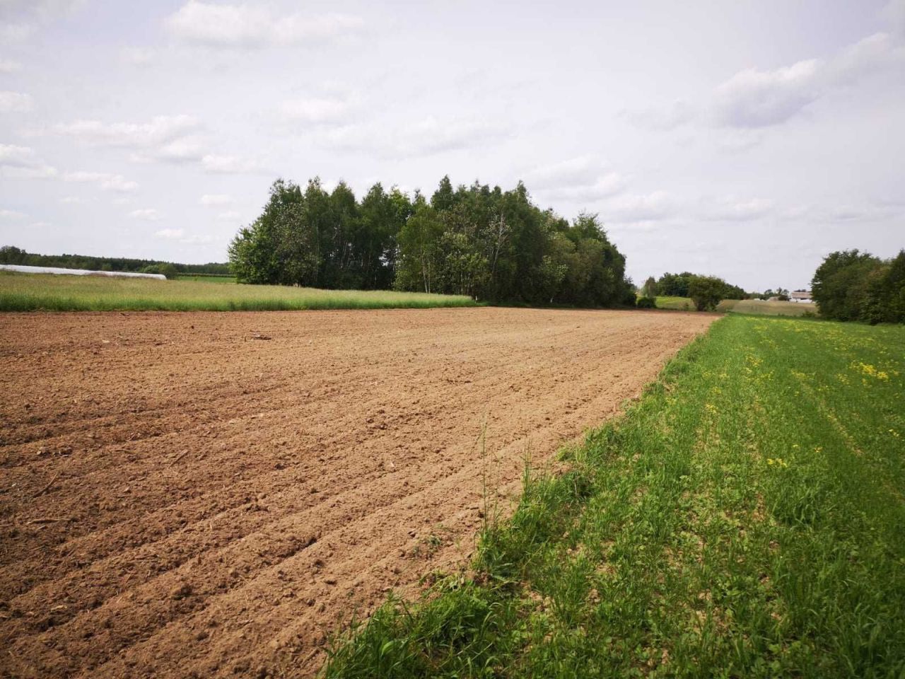 Działka rolna Bukówno. Zdjęcie 1