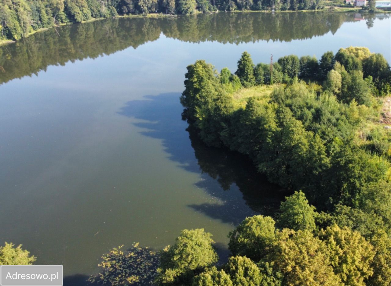 Lokal Kalisz Pomorski. Zdjęcie 3