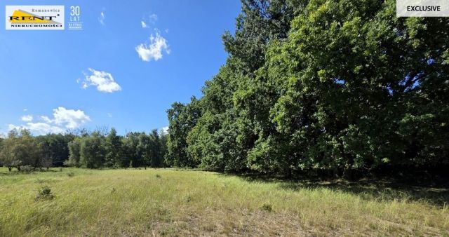 Działka budowlana Kopice. Zdjęcie 5