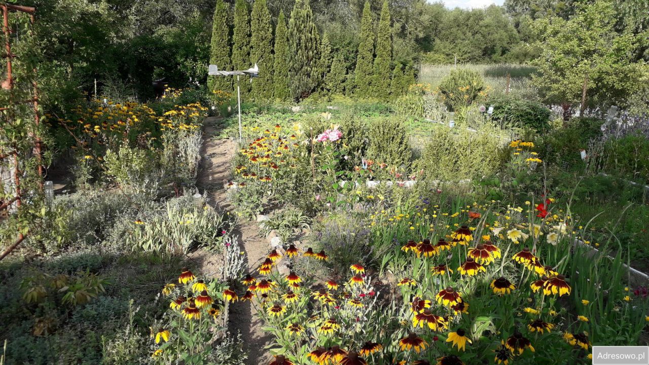 Działka rod Chełmno. Zdjęcie 2