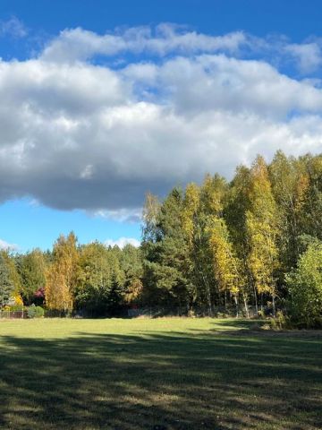 Działka rekreacyjna Rogóźno. Zdjęcie 1