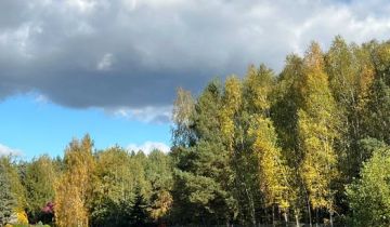 Działka rekreacyjna Rogóźno