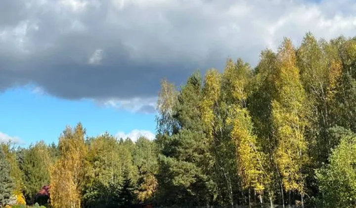 Działka rekreacyjna Rogóźno