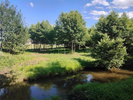 Działka rolno-budowlana Dąbrówka. Zdjęcie 1