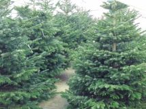 Działka Józefów Kolonia Błota, ul. Nadwiślańska