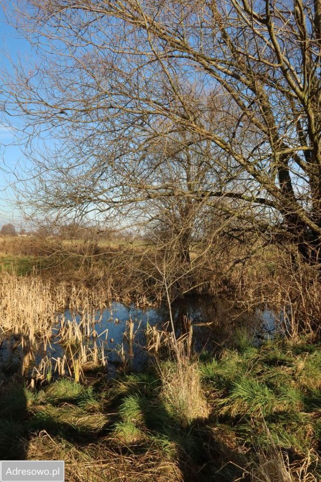 dom wolnostojący, 2 pokoje Chojny. Zdjęcie 18