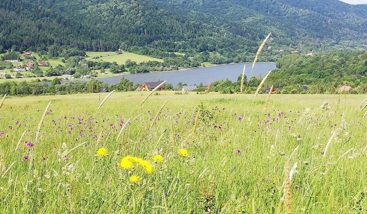 Działka budowlana Uście Gorlickie
