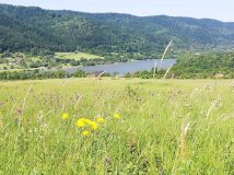 Działka budowlana Uście Gorlickie. Zdjęcie 4