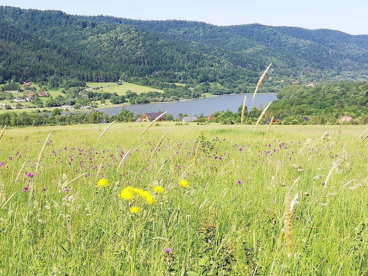 Działka budowlana Uście Gorlickie. Zdjęcie 1