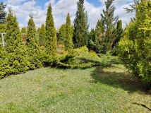 Działka rod Ciechanów. Zdjęcie 4