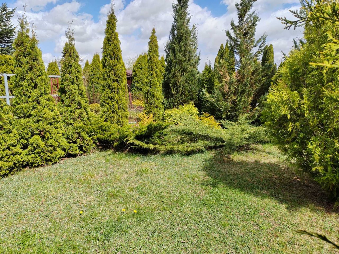 Działka rod Ciechanów. Zdjęcie 5