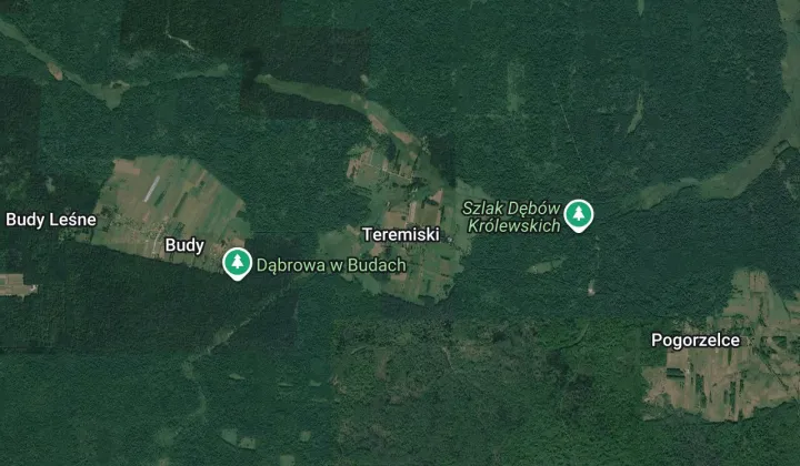 Działka inwestycyjna Teremiski, Dąbrowa