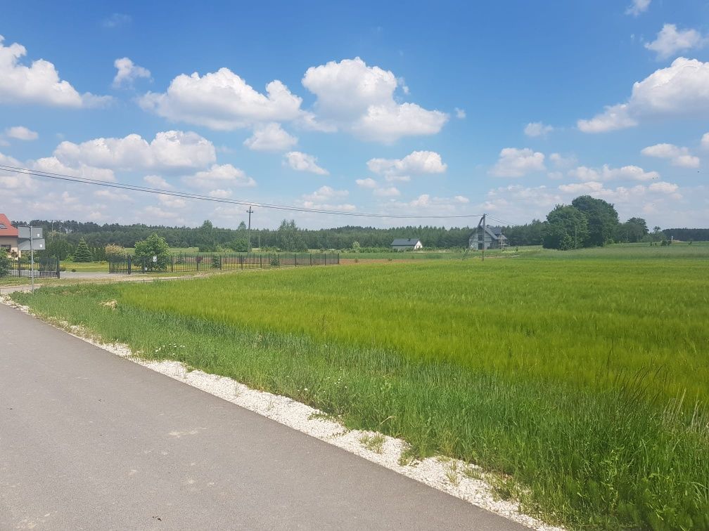 Działka rolna Ozorów. Zdjęcie 7