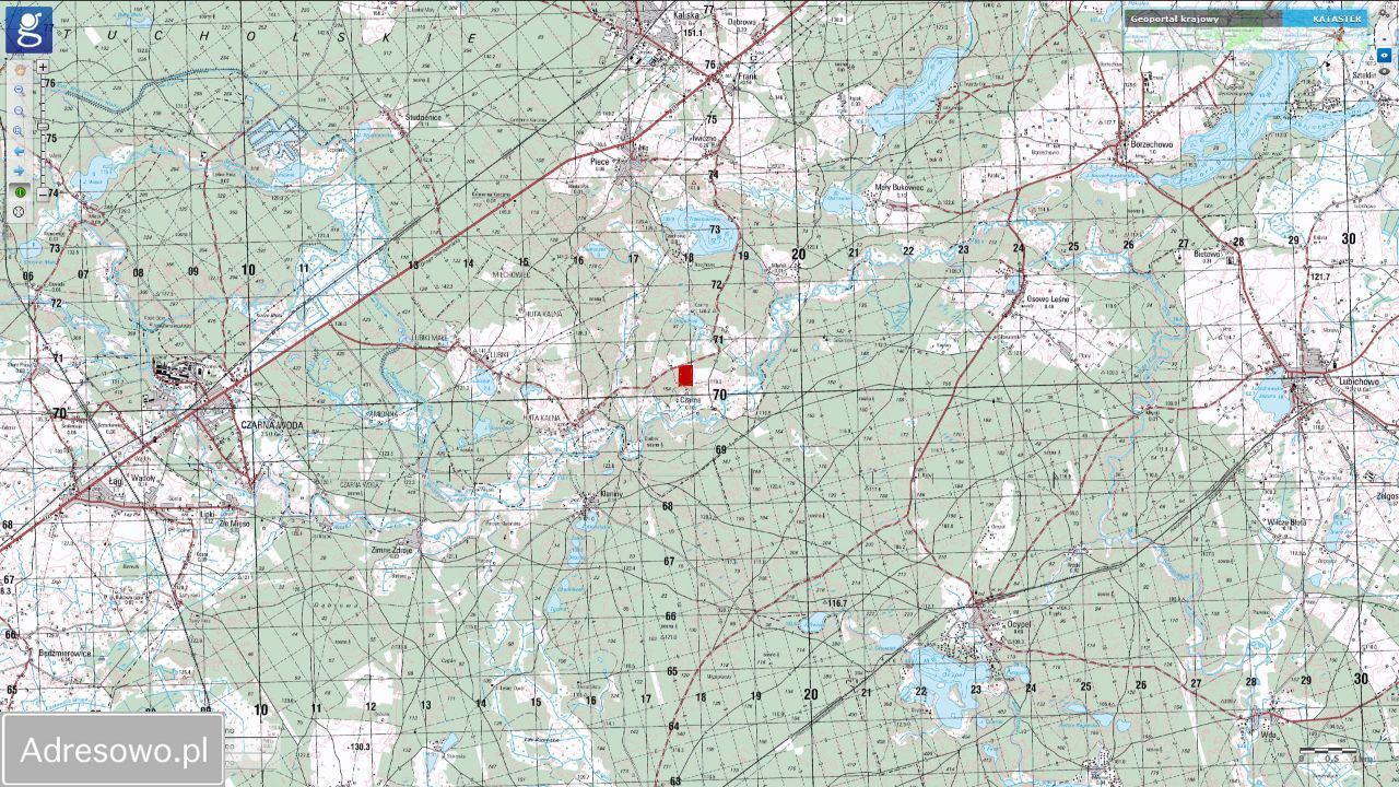 Działka rekreacyjna Czarne. Zdjęcie 5