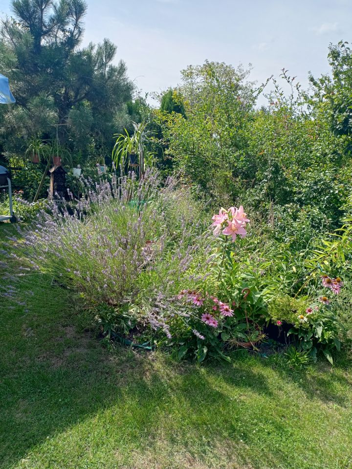 Działka rekreacyjna Wrocław Bierdzany, ul. Nizinna. Zdjęcie 37