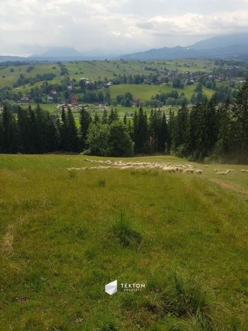 Działka rolna Zakopane, ul. Łosiówki. Zdjęcie 1