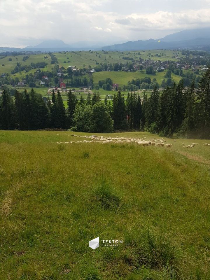 Działka rolna Zakopane, ul. Łosiówki. Zdjęcie 3